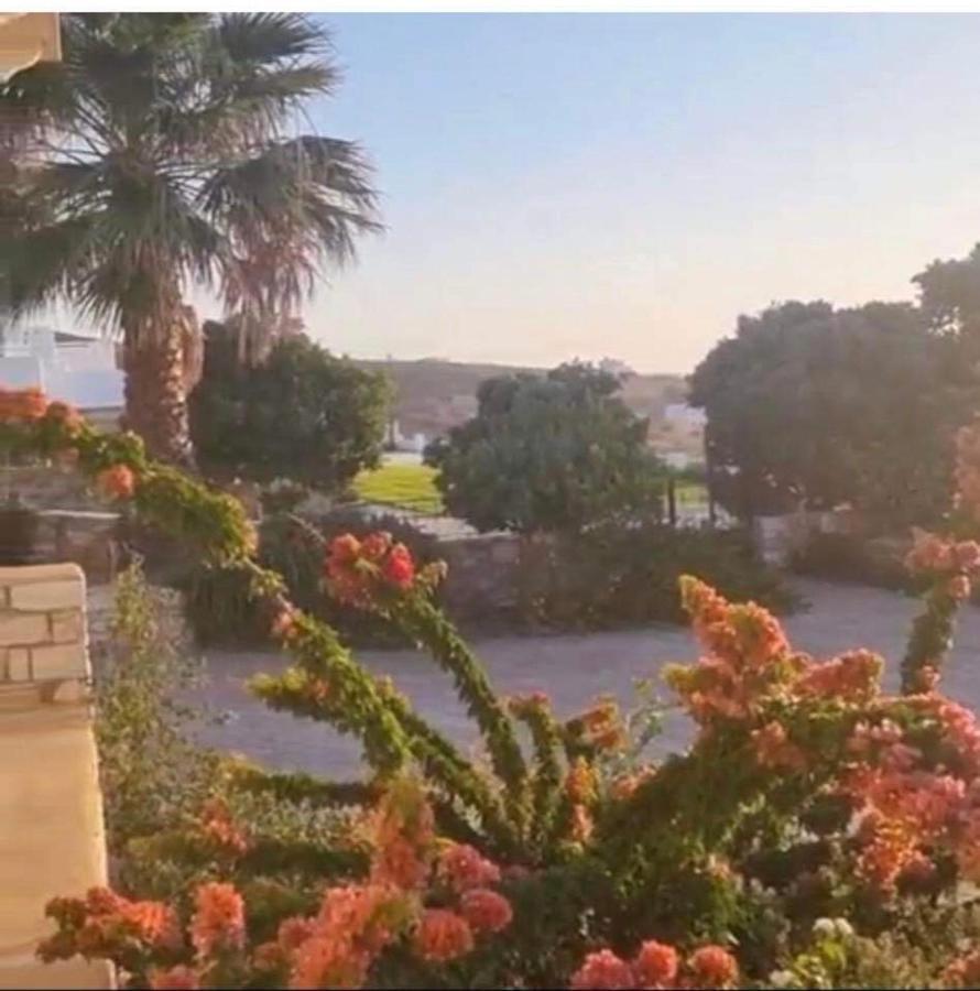 Willa Gregos House Andíparos Zewnętrze zdjęcie